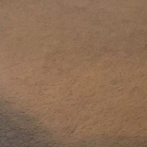 Meet your Posher, Bianca